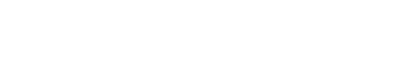 Unternehmensentwickler